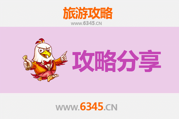 锦州义县至湄洲岛旅游攻略：跟团还是自由行深度解析